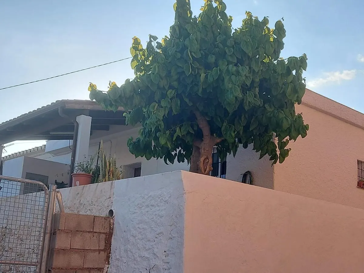 Casa La Morera Torrox Spain